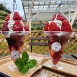 仁淀川へ GO！にこ淵＆スイーツを堪能 | 観光タクシーおすすめ 高知旅