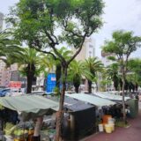 日曜市 巡り！通いたくなる食べ歩き高知グルメ「街路市」