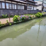 雨の日こそ特別な高知旅に！｜梅雨でも楽しめる観光スポット巡り
