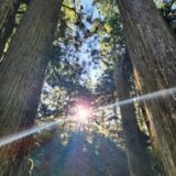 無事に結願しました！高野山へお礼参り | お遍路さん in和歌山