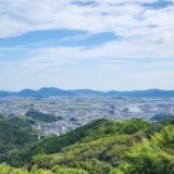 旅行中も安心！ペットホテルから外国語まで｜観光を楽しむ方法