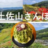 かき氷を味わい 真っ赤な「曼珠沙華」を想う｜秋の土佐山