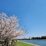 “観光タクシー おすすめ運転手”で迷ったあなたに伝えたい話｜桜だより