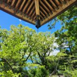 新築・リフォームしたてのようなワクワクする高知の旅へ！