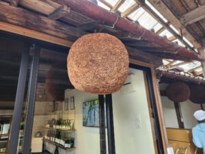 笑顔に乾杯！素敵なお姉さまと巡る「桂月」＆楽しさ満点 高知旅